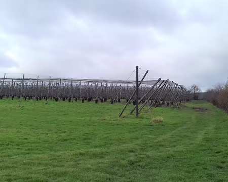 013 Verger dans la plaine du Moulin.