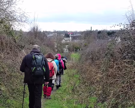 020 Sur le chemin du Bériot (commune de Piscop)