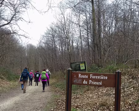 028 Arrivée au bois des Champeaux, à l’extrémité sud-est de la forêt de Montmorency