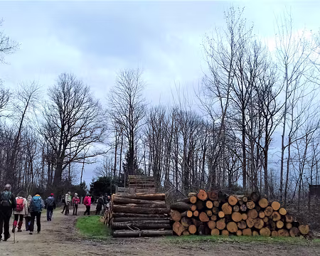 031 La forêt est gérée par l’ONF