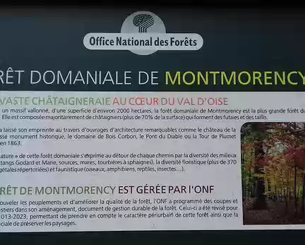 032 La forêt de Montmorency