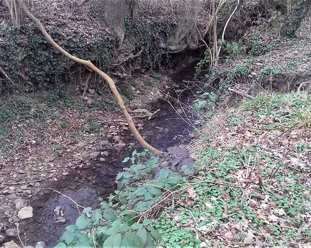 034 Le ruisseau du Fond des Aulnes