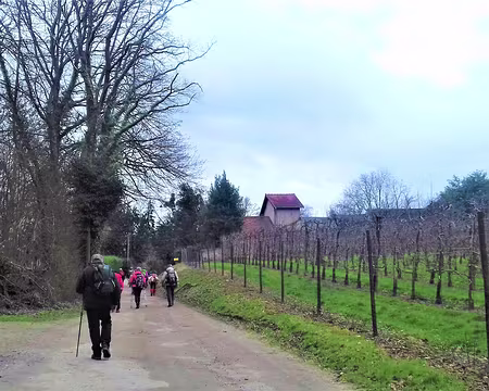 042 Sur le chemin de Montmorency à Luzarches