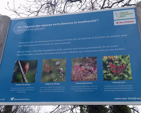 043 Biodiversité sur les côteaux de Nézant