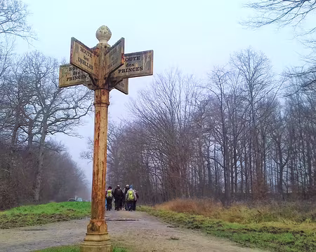 006 La forêt d’Armainvilliers est une ancienne forêt royale aménagée pour la chasse. Au XIXème siècle, elle a été acquise par les frères Pereire