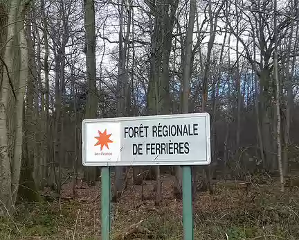 010 Entrée dans la forêt régionale de Ferrières (3000 ha) séparée de la forêt d’Armainvilliers par la Route Neuve (est-ouest)