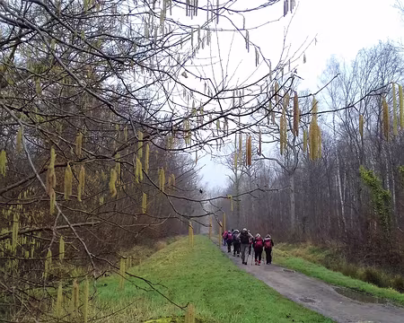 011 Les longues allées rectilignes ont été tracées au XVIIIème siècle pour la chasse. Cette forêt, acquise par James de Rothschild en 1829, est restée propriété de...
