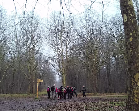 012 Carrefour forestier