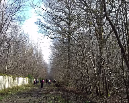 022 La forêt de Ferrières s’étend autour du parc du même nom où James de Rothschild a fait construire en 1859 un château classé Monument historique dans les années...