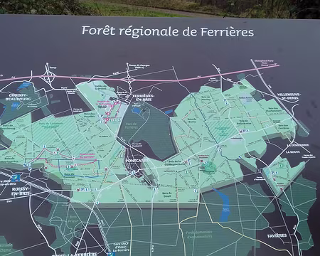 028 Le plan de la forêt