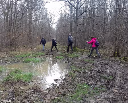 029 Quelques flaques sur le chemin