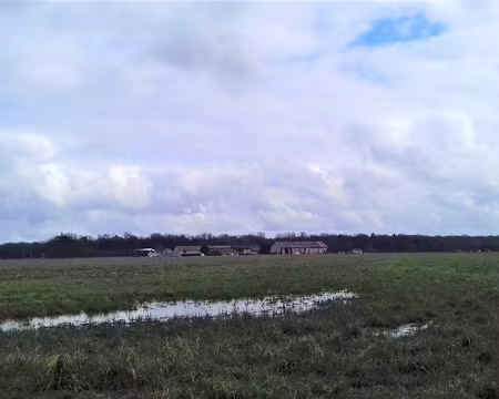 035 La ferme d’Hermières est située dans cette vaste clairière au sud-est de la forêt
