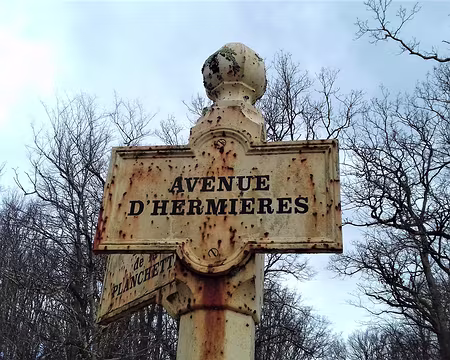 037 L’avenue d’Hermières dans la forêt de Ferrières
