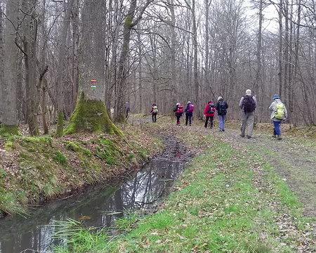 044 Sur le chemin du retour