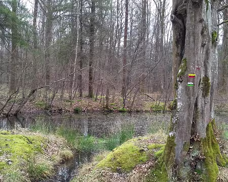 046 L’une des trois mares