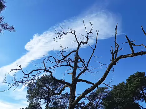 2022-02 Montigny-sur-Loing