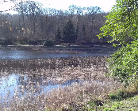 008 L’Etang Neuf de Ville-d’Avray (3 ha), aménagé en 1690 par Monsieur, frère de Louis XIV, servait à alimenter en eau les bassins du Parc de Saint-Cloud