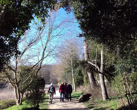 009 Chemin au bord de l’étang