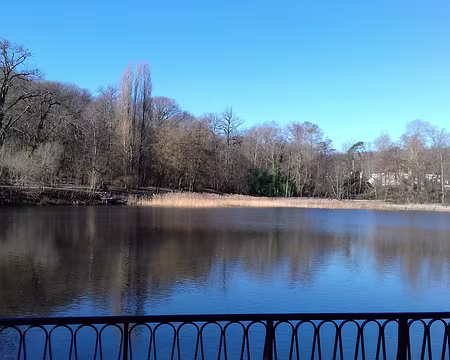 010 En amont, le Vieil Etang (1 ha) était exploité pour la pêche par les Célestins de Paris