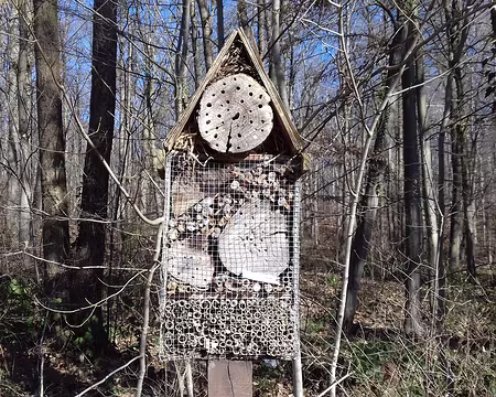 011 Un hôtel à insectes dans la forêt domaniale de Fausses Reposes (616 ha)