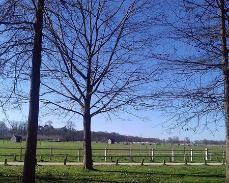 014 Le Pré de Marnes dans le parc départemental du haras de Jardy