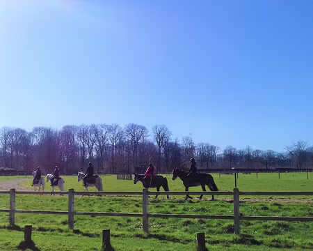 015 Cours d’équitation dans le plus grand haras de France créé en 1891