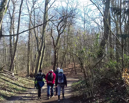 025 Chemin forestier