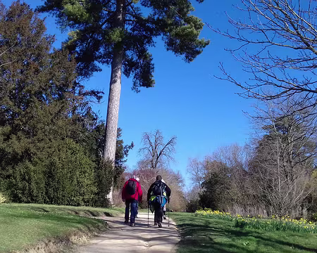 031 Le Jardin du Trocadéro, aménagé en 1823, sous le règne de Louis XVIII, au sommet du parc de Saint-Cloud