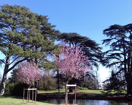 033 Le lac du Trocadéro au centre de ce jardin paysager