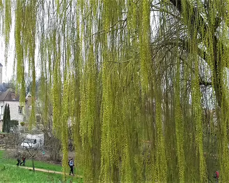 014 L’église Saint-Séverin (XII-XIIIème siècle) à Oinville-sur-Montcient