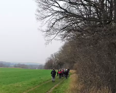 023 Chemin herbeux en lisière de bois sur le plateau