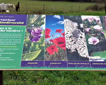 024 La biodiversité