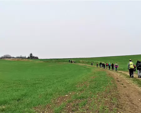 034 Le mégalithe se situe sur les côteaux de Brueil