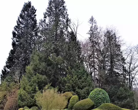 038 Le magnifique parc du château derrière les hauts murs