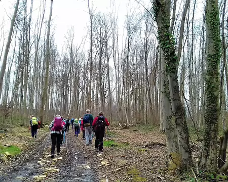 044 Le bois de Malmaison