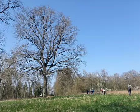 008 sur les coteaux