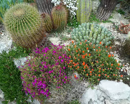 P1300058