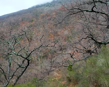 P1300086 Un arrière pays encore très hivernal