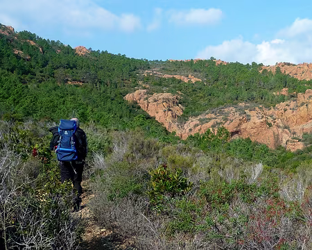 P1300186 Dans le massif de l'Estérel
