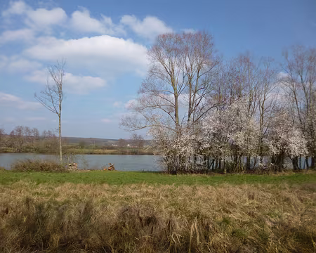 P1140821 Etangs dans la vallée de l'Eure