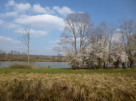 Dominique Dominique F, détail sortie