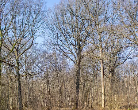 11-img_2946 La mare du désert