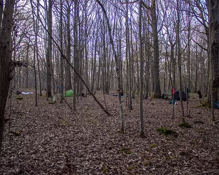 13-img_2949 Lieu de bivouac dans la forêt de Rosny sur Seine