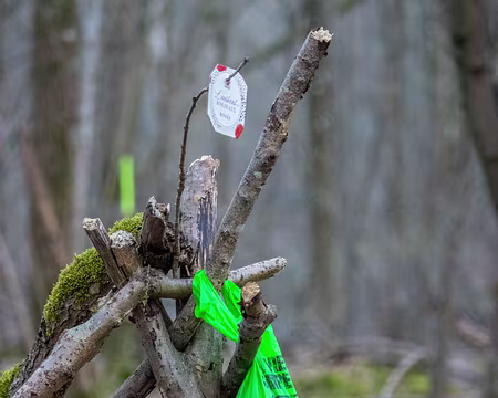 16-img_2953 La fontaine...