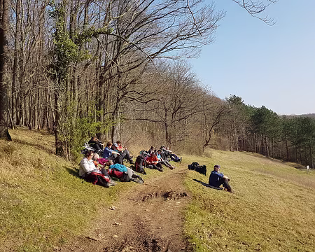 CAF-22RC17-breval-20220319_160030