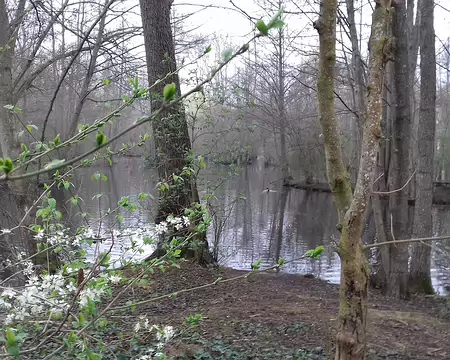 002 Zones humides à Saint-Chéron dans la vallée de l’Orge