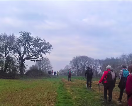 008 sur le plateau …