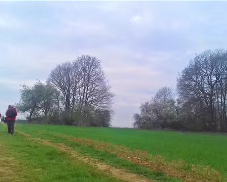 009 entre bois et champs