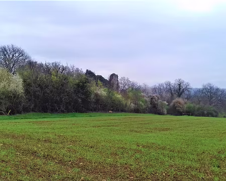 014 La tour, seul vestige du château de la Grange (XIIIème siècle), domine la vallée de la Renarde