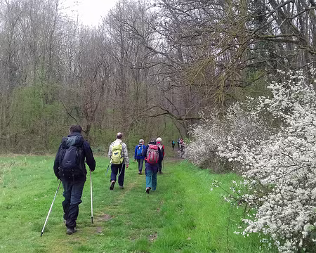 028 Chemin de lisière